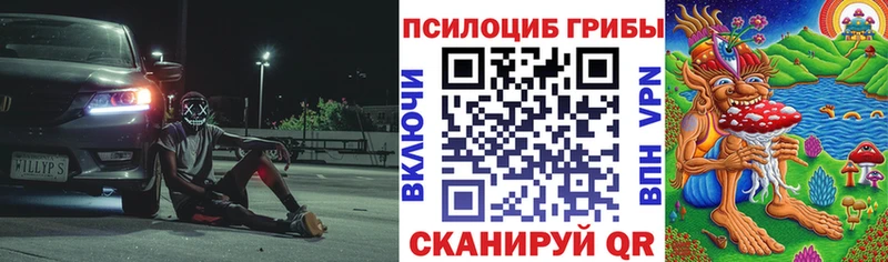 Псилоцибиновые грибы Psilocybe  Яблоновский 
